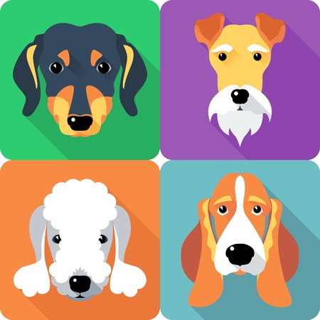 set dogs icon flat designのイラスト素材