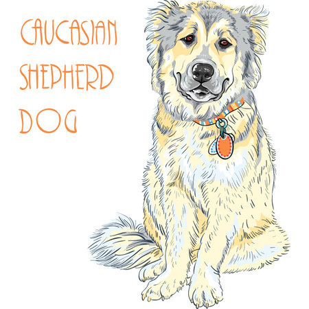 Caucasian Shepherd Dog breedのイラスト素材