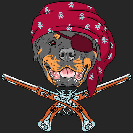 vector Dog Rottweiler Pirate with pistolsのイラスト素材