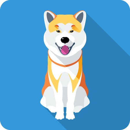 dog Akita Inu Japanese breed icon flat designのイラスト素材