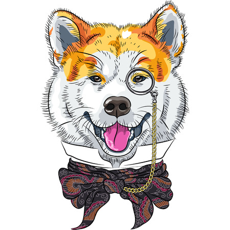 vector funny cartoon hipster dog Akita Inuのイラスト素材
