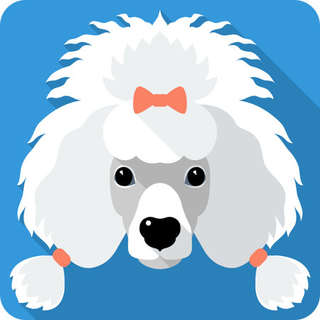 dog Poodle icon flat designのイラスト素材
