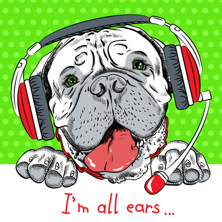 Poster with hipster dog Bullmastiff breed as customer service, call center operator with phone headsetのイラスト素材