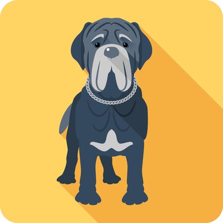 Vector serious dog Neapolitan Mastiff or Mastino icon flat designのイラスト素材
