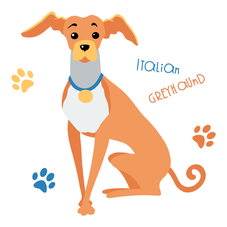 Vector color Funny dog Italian Greyhound breed sitting hand drawing vectorのイラスト素材