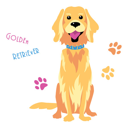 Sketch Funny dog Golden Retriever breed sitting breed hand drawing vectorのイラスト素材