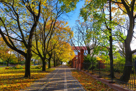 Beautiful autumn alley on the hill of St Wojciech in Poznan, Polandの写真素材