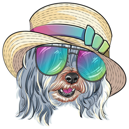 Vector dog Lowchen or Little Lion Dog in straw hat and trendy multicolored mirror sunglassesのイラスト素材