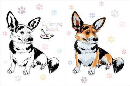 Vector Coloring Book page 1 of dog Pembroke Welsh corgi breed sitting and smilingのイラスト素材