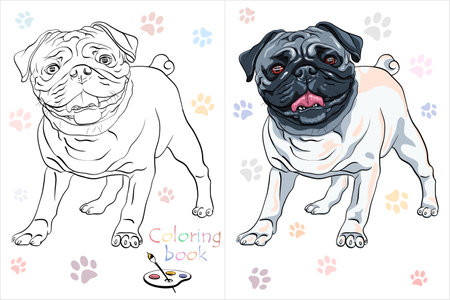 Vector Coloring Book page 5 cute dog pug breedのイラスト素材