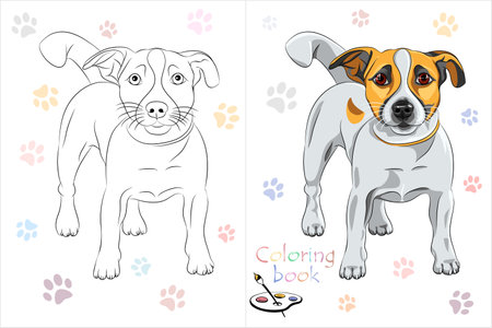 Vector Coloring Book page of cartoon dog Jack Russell Terrier breedのイラスト素材