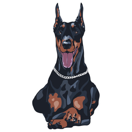 Vector black dog Doberman Pinscher breed lyingのイラスト素材