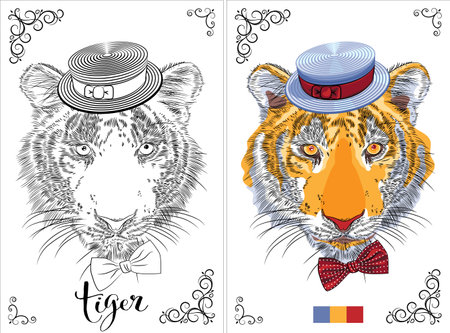 Vector coloring book page of a tiger wearing a hat and bow tie, ready for coloringのイラスト素材