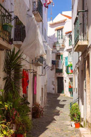 Narrow cobbled street in the Alfama district of Lisbon, Portugal with traditional white buildingsの写真素材