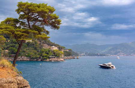 Coastal view with pine trees, villas and yacht in Portofino, Italy, Liguria regionの写真素材