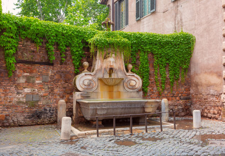 Historic Fontana del Mascherone with stone basin and ivy-covered wall in Rome, Italyの写真素材
