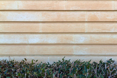 Light yellow stone wall texture background