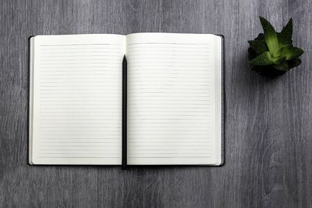 open note book with pen, and cactus in pot on wooden desk. note pad. top viewの写真素材
