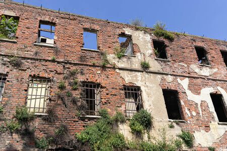 Old adandoned ruin building brick wall with trees grown on the stone wallの写真素材