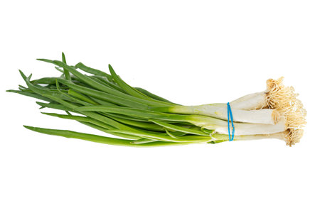 Green fresh Onion isolated on white backgroundの写真素材