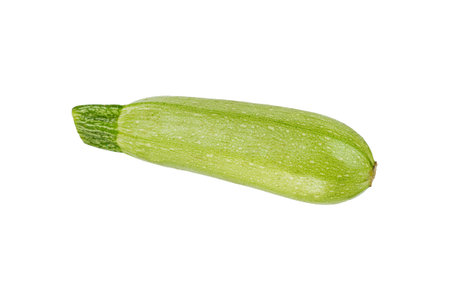 Fresh organic marrow zucchini squash vegetable isolated on whiteの写真素材