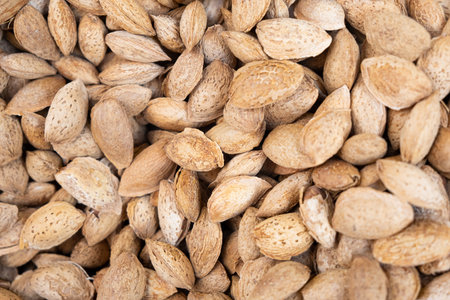 Raw fresh almond close-up in the market