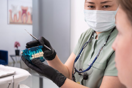 Dentists with jaw model during dental consultations to assist patients in understanding various...