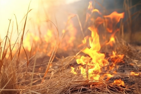 alarming spring fires in forest, with dry grass fueling the flames. ecological danger. generative aiの素材