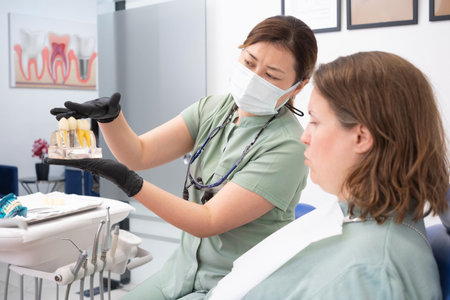 Dentist holding human teeth model to a patient at stomatology clinic, explaining the process of...