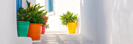 Brightly colored flower pots add a touch of vibrancy to a narrow whitewashed alley, creating a charming and picturesque scene typical of greek islandsの素材