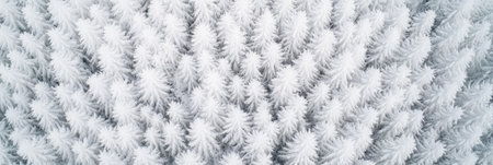 Aerial view of snow covered pine trees creating a beautiful winter wonderland landscape, perfect for showcasing the serene beauty of nature during winterの素材
