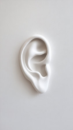 Displaying a white plaster ear model against a clean white background, emphasizing the significance of hearing healthcare, audiology, and the vital need for protecting auditory healthの素材
