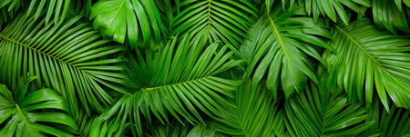 Vibrant green palm leaves overlapping create a rich, textured backdrop, capturing the lushness and tranquility of a serene tropical paradise, inviting a sense of peace and beautyの素材