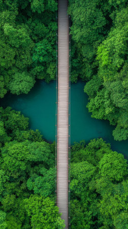Aerial view of a wooden hanging bridge crossing a turquoise river surrounded by a lush green forest, creating a stunning contrast of colors and texturesの素材