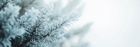 Close up of a pine tree branch covered in delicate hoarfrost crystals, creating a beautiful winter scene with a soft, dreamy background, ideal for christmas or winter themed projectsの素材