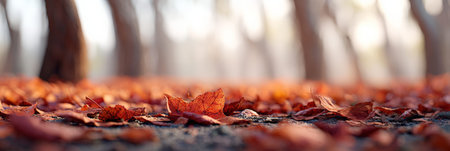 Fallen red maple leaves create a vibrant carpet on the forest floor, bathed in the warm, golden light of late afternoon sun, evoking a sense of tranquility and the beauty of autumnの素材