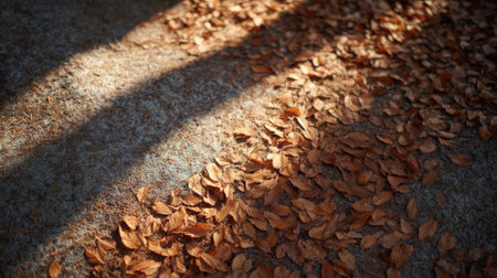 Sunlight streams through the trees, illuminating a blanket of crisp, brown autumn leaves resting on the forest floor, creating a warm and inviting scene of seasonal changeの素材
