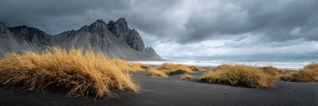 Vestrahorn mountain range rises above a wild black sand beach, with dried grass tufts in the foreground and a moody ocean under an overcast sky creating a dramatic icelandic landscapeの素材