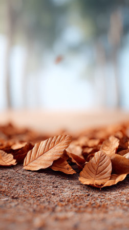Fallen autumn leaves carpeting the ground, creating a nostalgic and evocative atmosphere, with blurred trees softly framing the scene in warm hues of orange and brownの素材