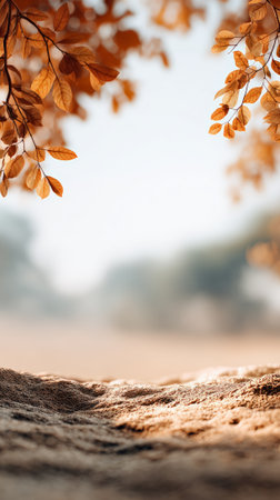 Golden autumn leaves frame an empty stone surface, creating a serene and natural backdrop with a blurred background, perfect for product placement or seasonal designsの素材