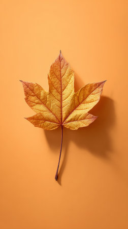 Vibrant yellow maple leaf resting on a smooth orange backdrop, showcasing delicate veins and rich color illuminated by soft light, creating a warm autumn atmosphereの素材