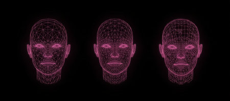 Human head wireframes representing advanced face identification, biometric authentication, and artificial intelligence technology for security systems and personal data recognitionの素材
