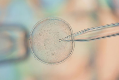 Egg cell receiving a microinjection with a delicate micropipette aiding fertility treatment and human reproduction, symbolizing medical advancement and future lifeの素材