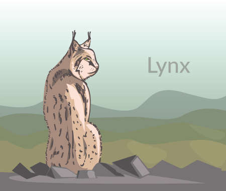 lynxのイラスト素材