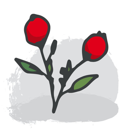Vector illustration, two red rosehip berries and green leaves on a white background. Vector illustrationのイラスト素材