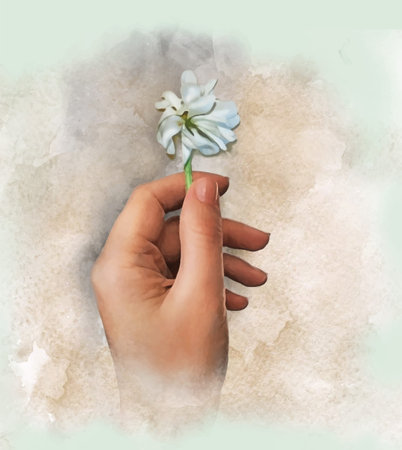 watercolor drawing, hand holding a white flower. Vector illustrationの写真素材
