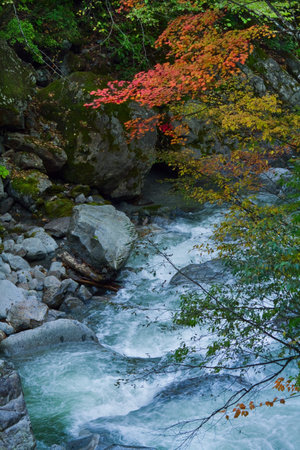 Rapid stream in mountain river.