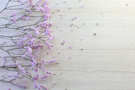 Beautiful pink flowers on wooden background.