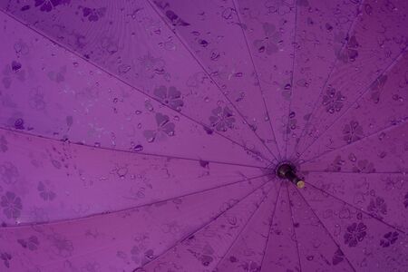 Japanese umbrella in the rain. Close Up.の写真素材