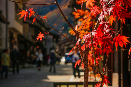 In autumn, people walk along a city street. Historic town of Narai-juku, Japan.の写真素材